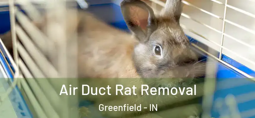  Air Duct Rat Removal Greenfield - IN