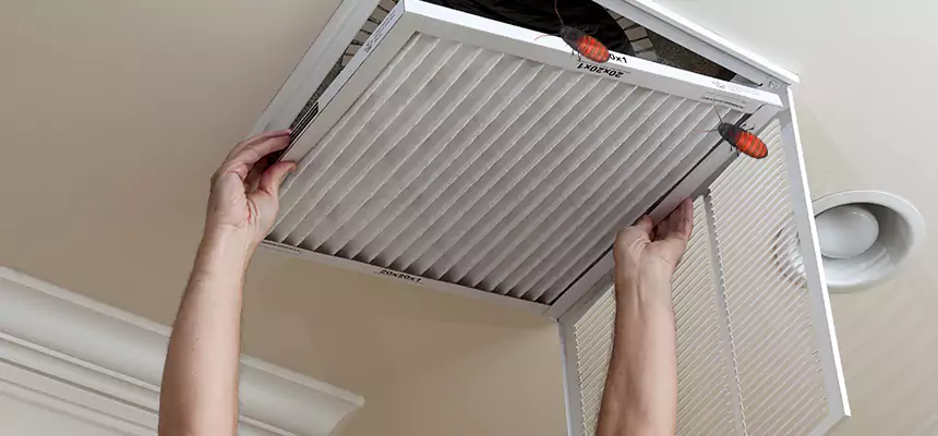 Preventive Cockroach-Proofing for Ducts in Greenfield