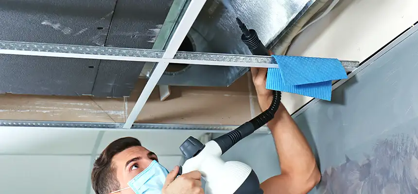 Our Air Duct Rodent Removal Services in Greenfield, IN