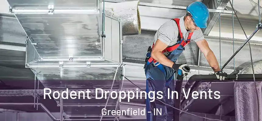  Rodent Droppings In Vents Greenfield - IN