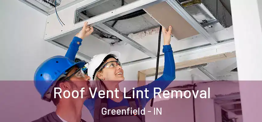 Roof Vent Lint Removal Greenfield - IN