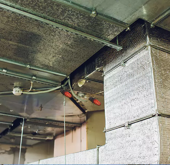 Why Homeowners & Businesses Trust Us in Greenfield, IN?