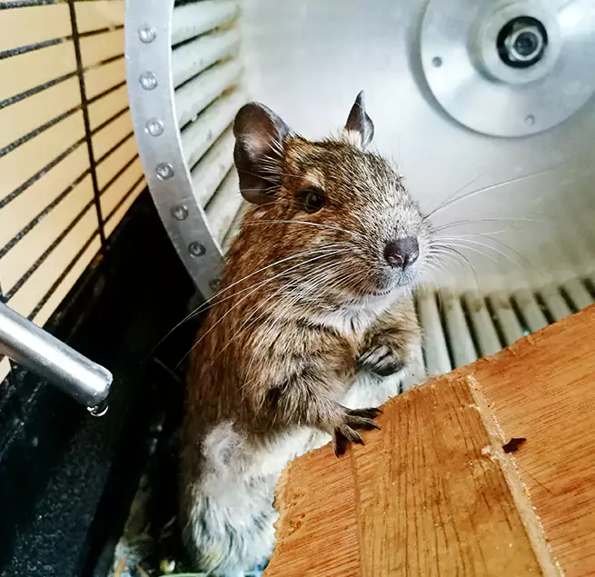 Why Homeowners & Businesses Trust Us Greenfield, IN