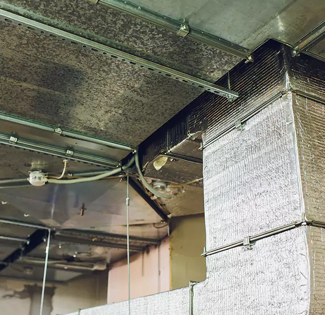 Why Homeowners & Businesses Trust Us in Greenfield, IN?